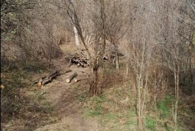 Vand teren intravilan - 3