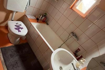 Vand casa S+P+1E+M, in Lugoj, zona Boc?ei - 1