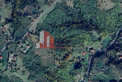 Teren Construcții intravilan de 29595 mp, în Drumul Carului - 2