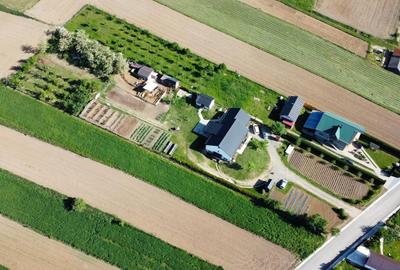 Casă cu 4 camere în Pătrăuți - 6