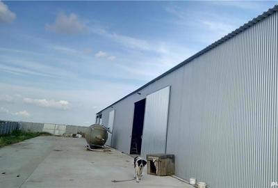 Spațiu comercial, de 3,500 mp, în Pădureni - 4