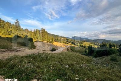 Teren de 5000 mp, în Tiha Bârgăului - 3