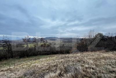 Teren extravilan 4300 mp, zona Criseni - Paclisa - 4