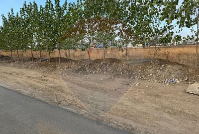 Teren de 9400 mp, în Theodor Pallady