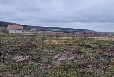 Spațiu comercial, în Păușa