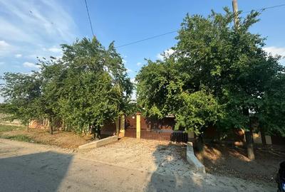 Casa de vanzare comuna Peretu - 1