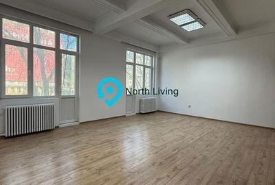 Spațiu comercial, de 651.44 mp, în Cișmigiu - 16