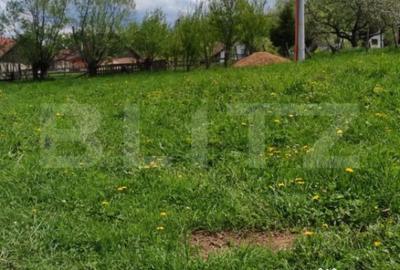 Teren de 1865 mp, în Moieciu - 6