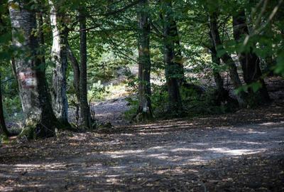 Teren intravilan 3300mp- Vulcan Brasov langa Lac si padure - zona turistica - 14