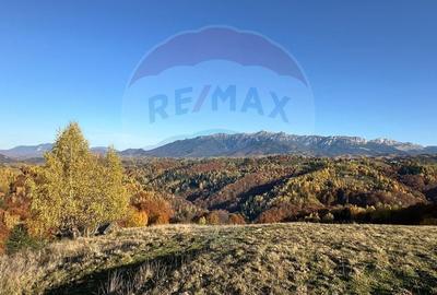 Oportunitate de investiție ! Teren de vis în Pestera - 125.370 mp - 2