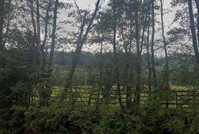 Teren de 2000 mp, în Neagra - 2