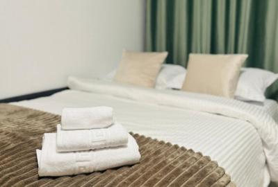 APARTAMENT 1 CAMERA, ETAJ 1, MOBILAT SI UTILAT, POPAS PACURA - 3