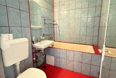 Apartament cu 2 camere si garaj optional - Gara de Nord, Timisoara. - 10