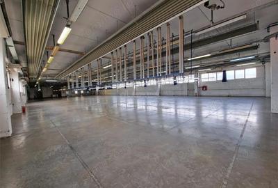 Resita CHIRIE Constructie tip hala 2 nivele 3298 Mp cu teren 6695 Mp - 19