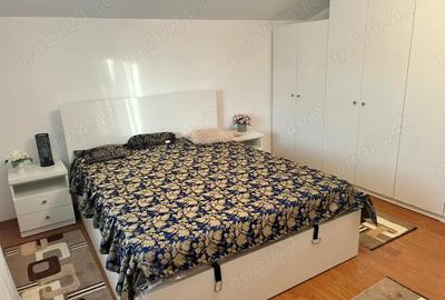 Casa de inchiriat Zona Bucium (Plopii fara sot) - 2