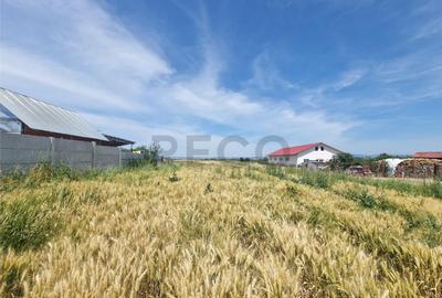 RECO teren intravilan la 15 minute de Metro Oradea - 1