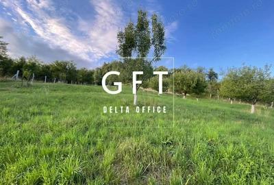 Teren de 2900 mp, în Dorolea - 7