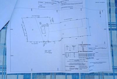 Casă cu 3 camere în Băneasa - 1