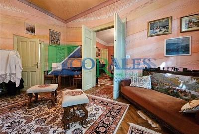 Cladire istorica. Suprafete generoase. Langa parcul Ghe. Doja! - 6