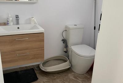 Duplex cu 4 camere cu Teren 300 Mp în Urseni - 10