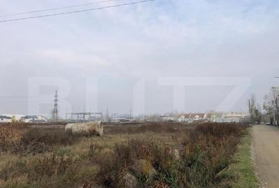 Teren intravilan, 24000 mp, front de peste 150 ml, Calea Sev Teren intravilan, 24000 mp, front de peste 150 ml, Calea Sev - 2