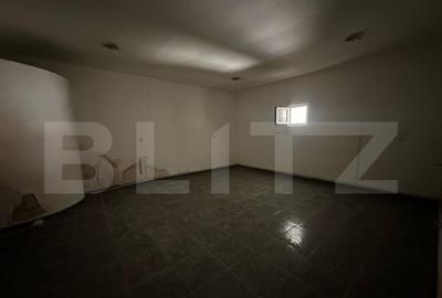 Spatiu comercial, 293 mp/129 mp, zona ultracentrala cu Vad - 5