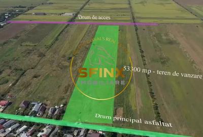 Teren Construcții intravilan de 53500 mp, în Ciocănești - 1