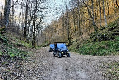 Casă cu 4 camere cu Teren 1700 Mp în Meziad - 4