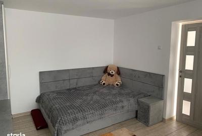 Casă cu 4 camere cu Teren 1500 Mp în Ineu - 2