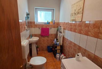 Dristor, Camil Ressu, 15 minute metrou, pe strada Ilioara - 7