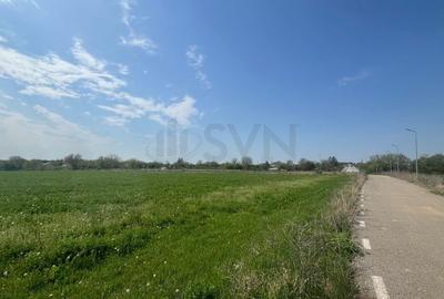 Teren Construcții intravilan de 15000 mp, în Snagov - 6