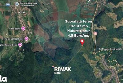 Teren de 187817 mp, în Blăjel - 2