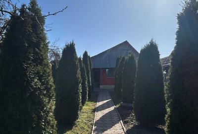 Casă cu 4 camere în Biertan - 4