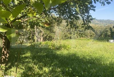 Spațiu comercial, în Doroteia - 4