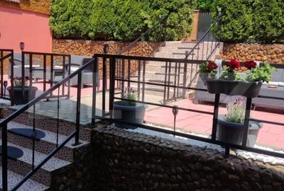 Pensiune(Casa de locuit) + Restaurant, Cugir – pe marginea raului Mare - 6