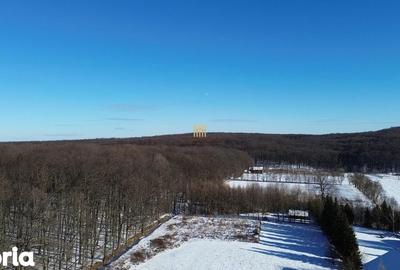 Teren de 9850 mp, în Mitocu Dragomirnei - 13