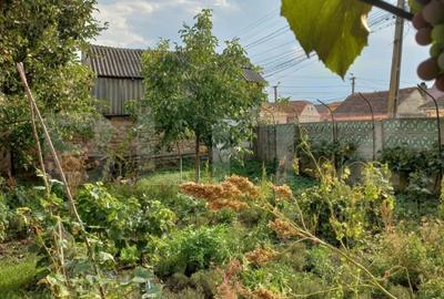 Casa 70 mp, 3 camere , bucatarie,  baie , teren 1270 mp, Prejmer - 6