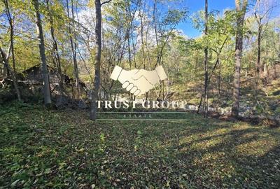 Casa S+P TEREN 1508mp Casa S+P TEREN 1508mp - 12