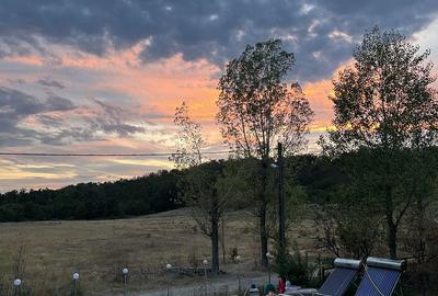 Casă cu 8 camere cu Teren 10800 Mp în Galicea - 7