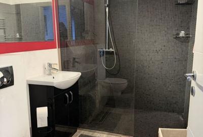 Apartament cu 2 camere, mobilat în Europa - 5