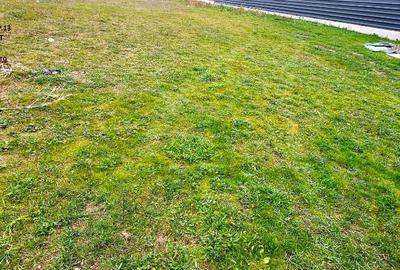 Casa la rosu si teren 500 mp,in cartier de vile,com. Dumbrava Rosie - 9