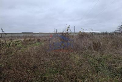 Teren Construcții intravilan de 600 mp, în Brănești - 1