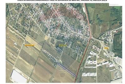 Vanzare teren intravilan 8,600mp Dragomiresti-Vale - langa A0 si A1 - 3