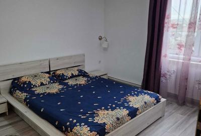 Apartament cu 2 camere semidecomandat în Terezian - 2