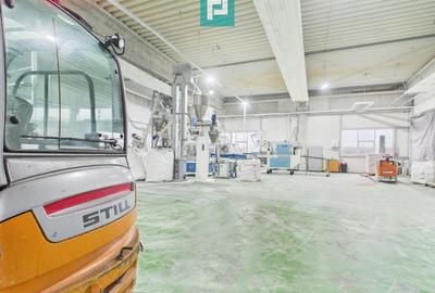 Hală industrială de 4.155 mp Calea Borșului - 17