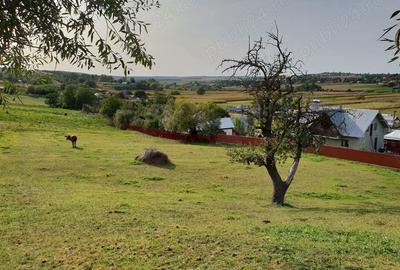 Casă în Zvoriștea - 1