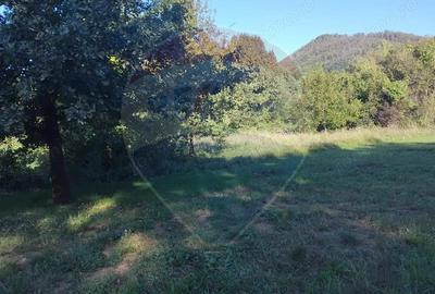 Teren 1,552mp Cicarlau - 3