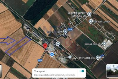 Teren agricol intravilan de 71300 mp, în Ciocănești - 7