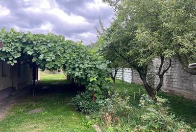 Casa 4 camere Rasnov - 3