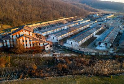 Spațiu industrial, de 50,000 mp, în Horgești - 15